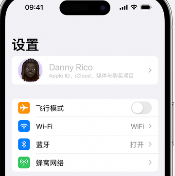 都江堰appleID维修服务iPhone设置中Apple ID显示为灰色无法使用 