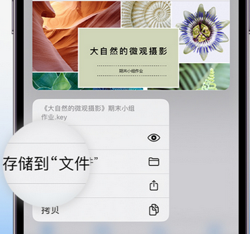 都江堰apple维修中心分享iPhone文件应用中存储和找到下载文件