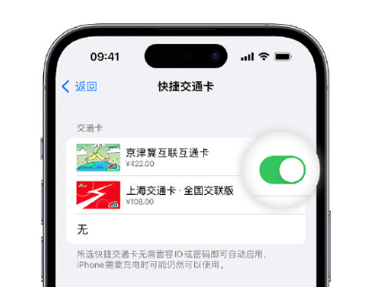 都江堰apple维修点分享iPhone上更换Apple Pay快捷交通卡手绘卡面 