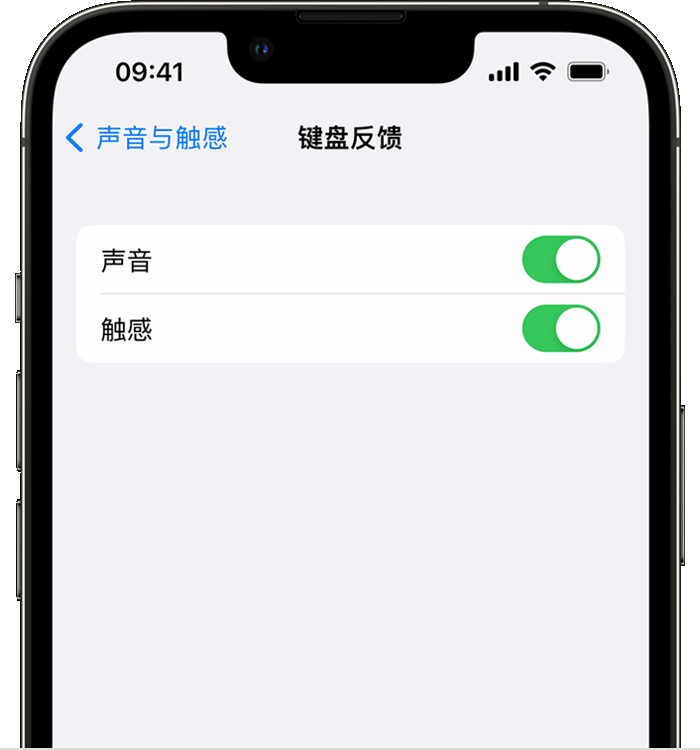 都江堰苹果14维修店分享如何在 iPhone 14 机型中使用触感键盘 