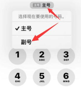 都江堰苹果14维修店分享iPhone 14 Pro Max使用副卡打电话的方法 