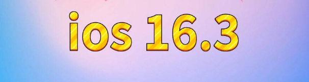 都江堰苹果服务网点分享苹果iOS16.3升级反馈汇总 