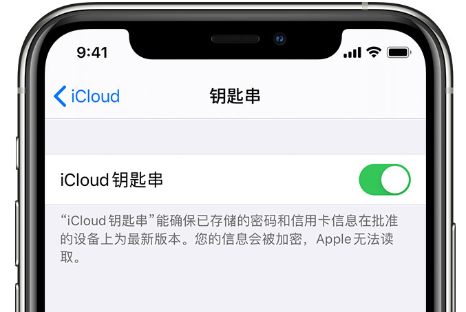 都江堰苹果手机维修分享在 iPhone 上开启 iCloud 钥匙串之后会储存哪些信息 