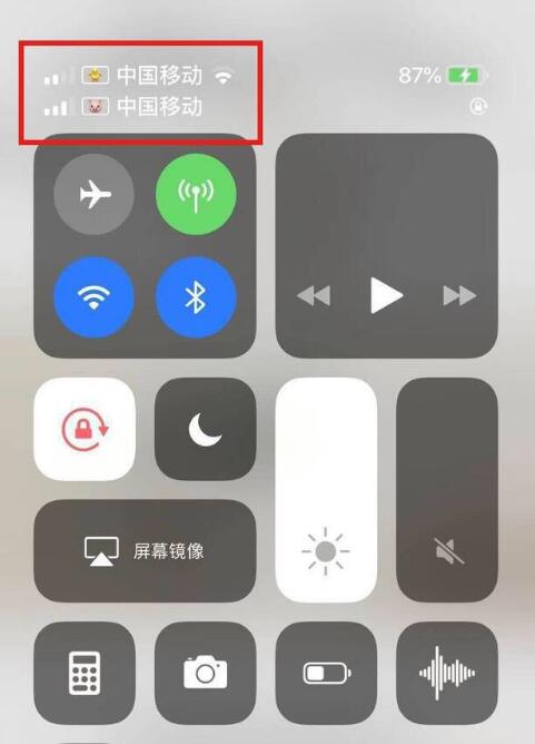 都江堰苹果手机维修分享为 iPhone 12 双卡设置标签 